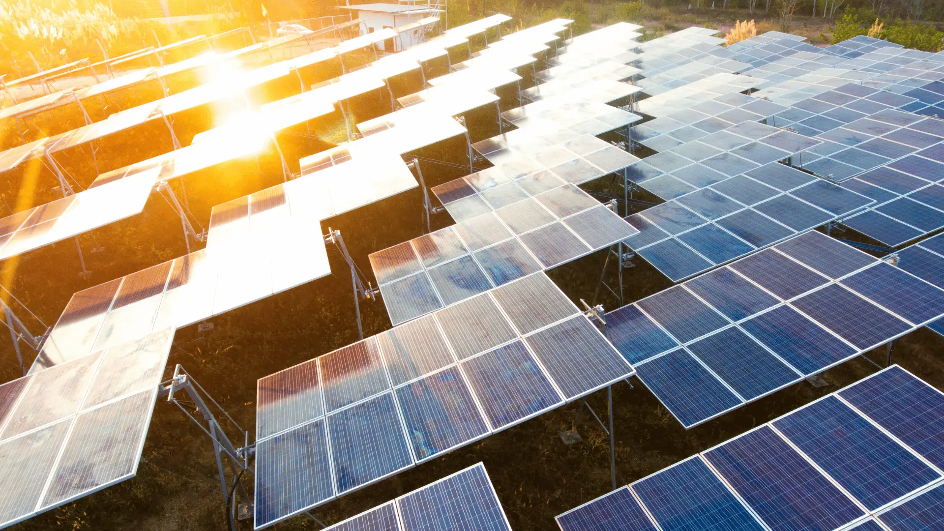 Head Officer - Officer
