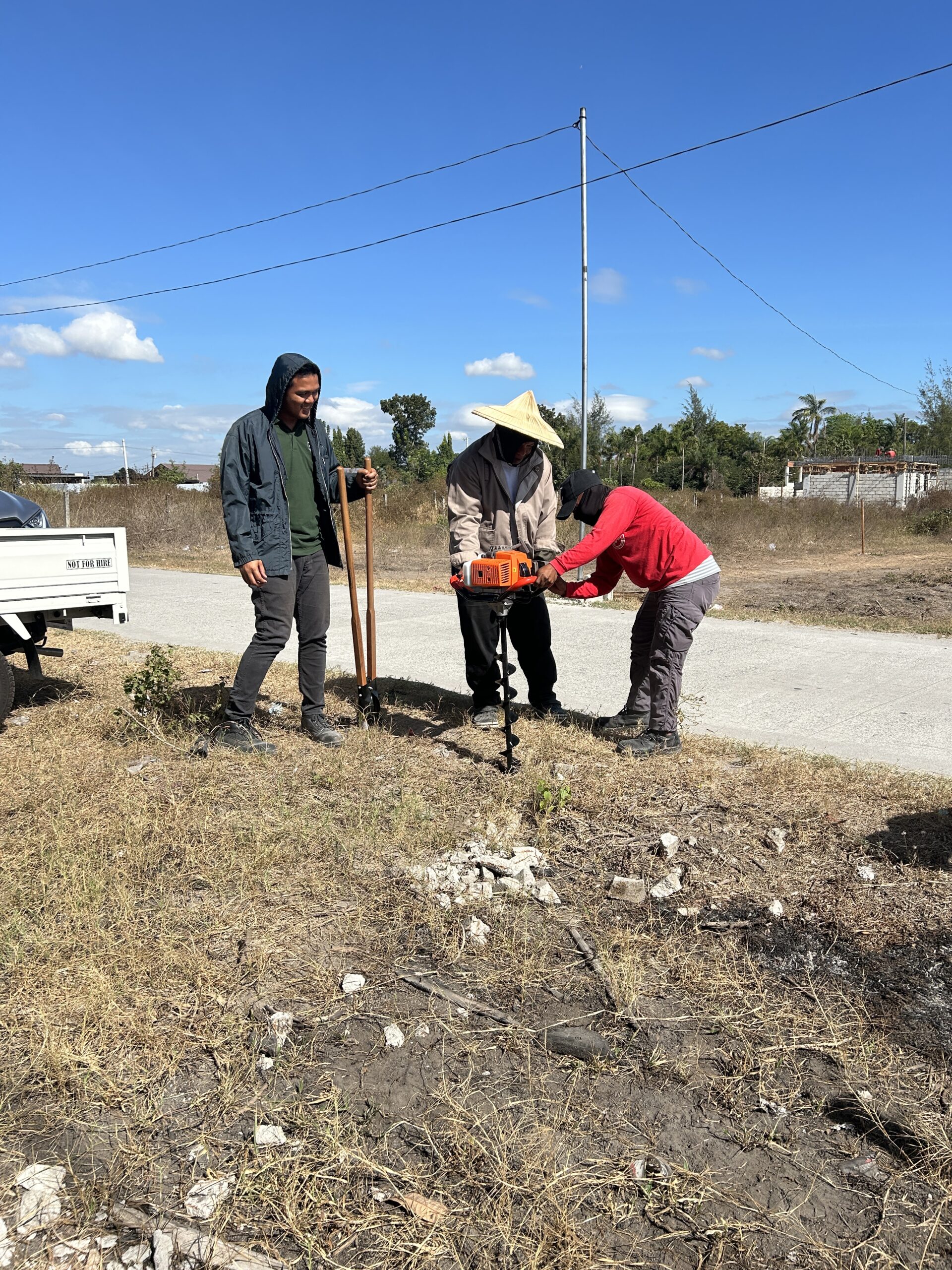 Tree Planting photo 2