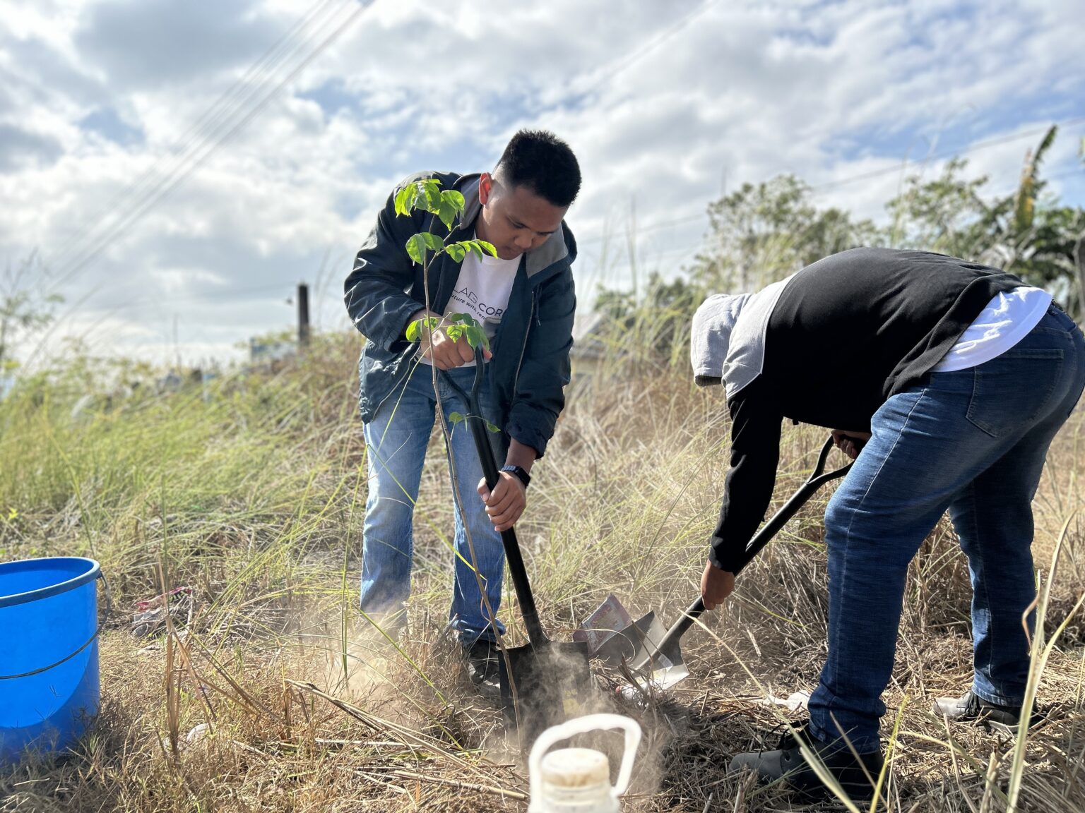 Tree Planting photo 6